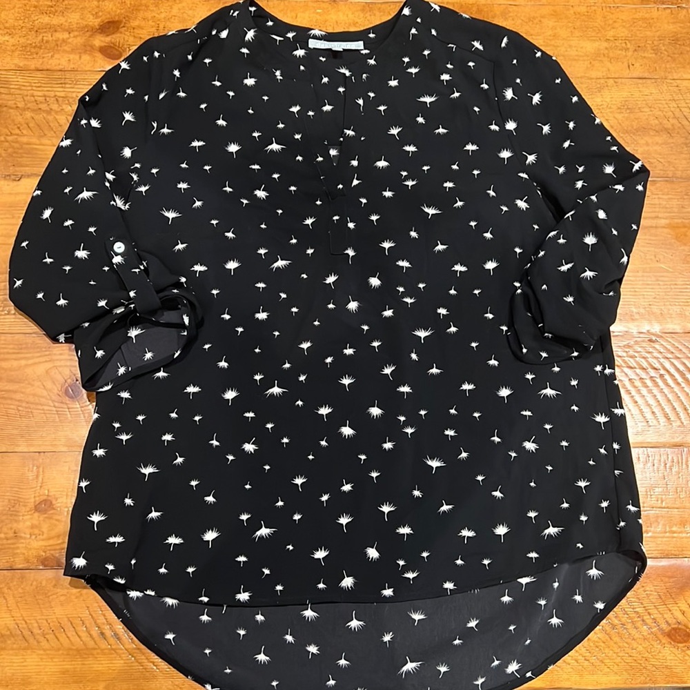 Daniel Rainn Blouse